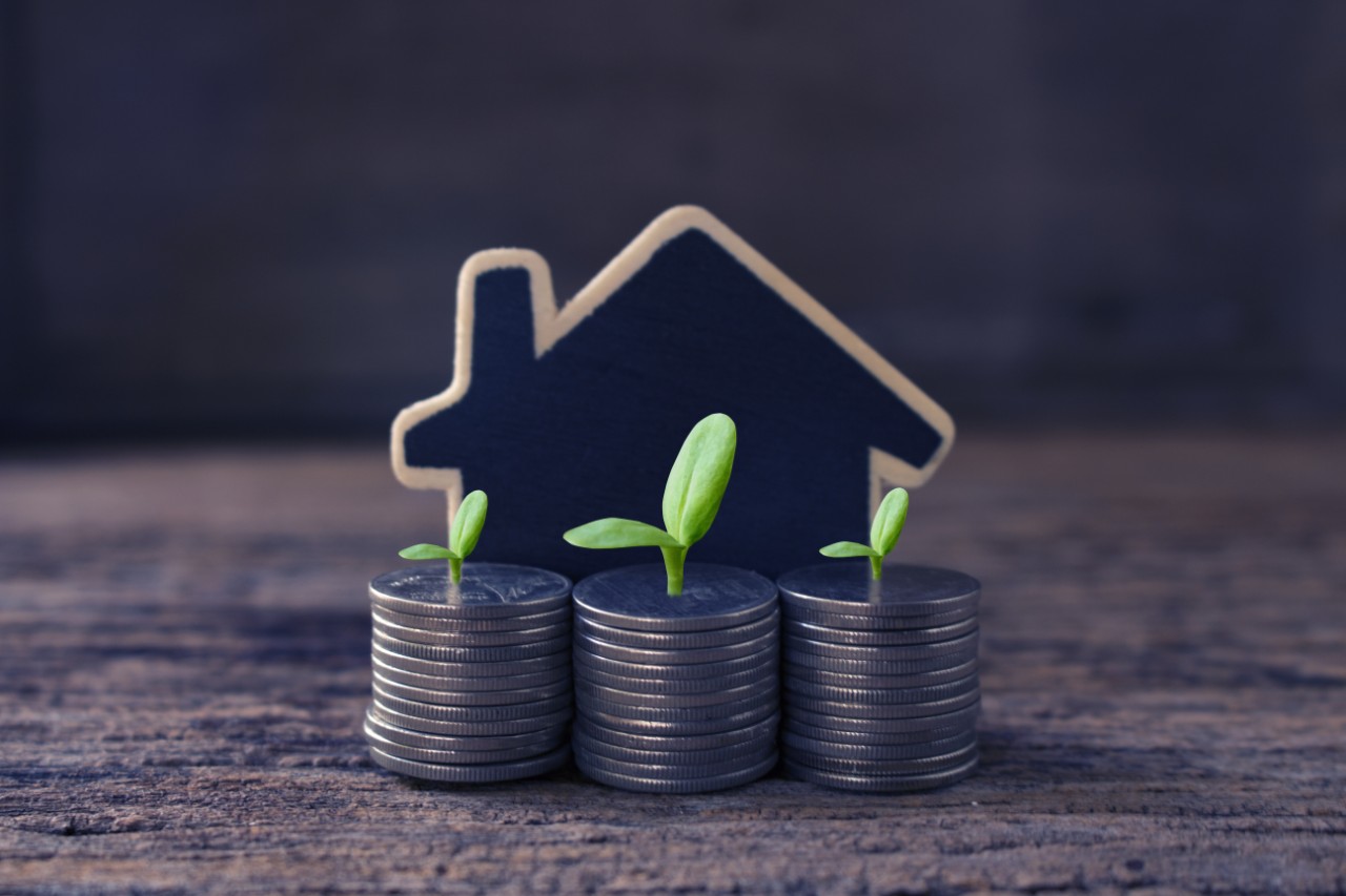 A silhouette of a house with stacks of coins and plant sprouts in front of it